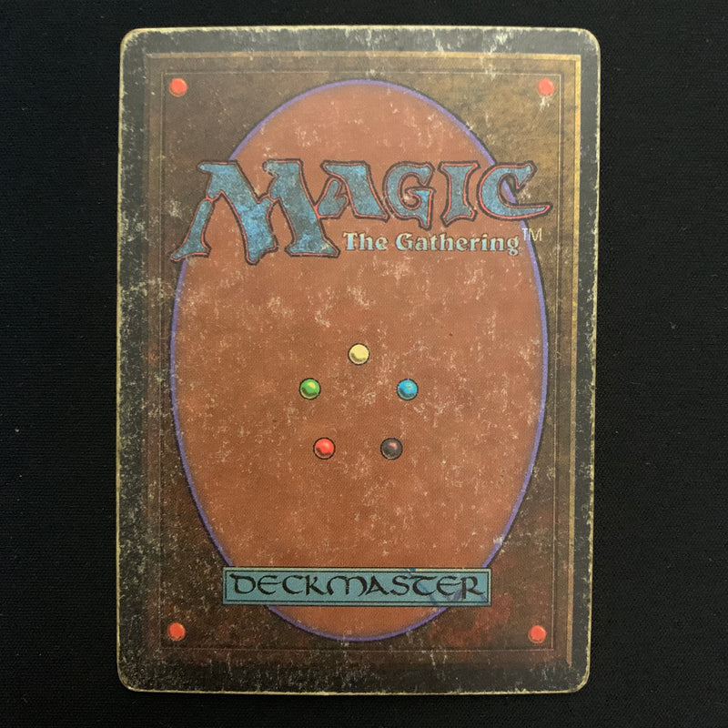 Magic the Gathering Wheel of Fortune - Revised 