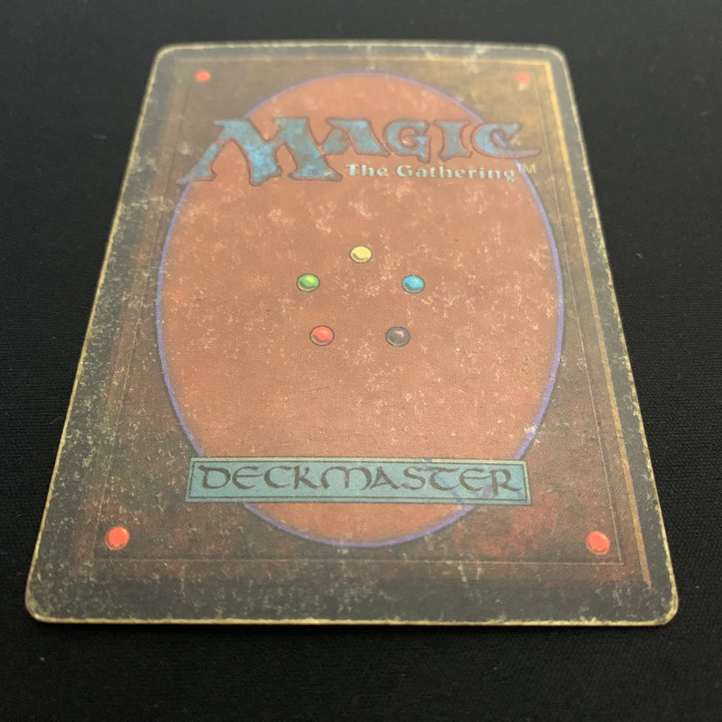 Magic the Gathering Wheel of Fortune - Revised 