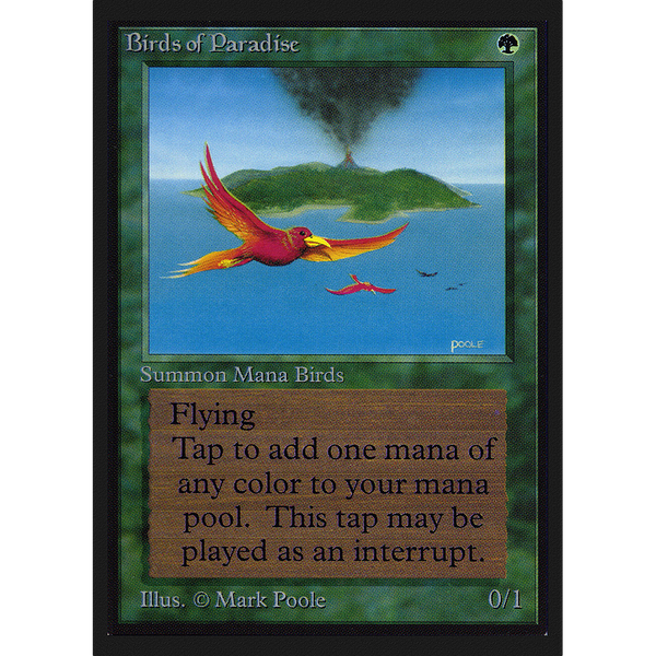 Birds of Paradise - International Edition