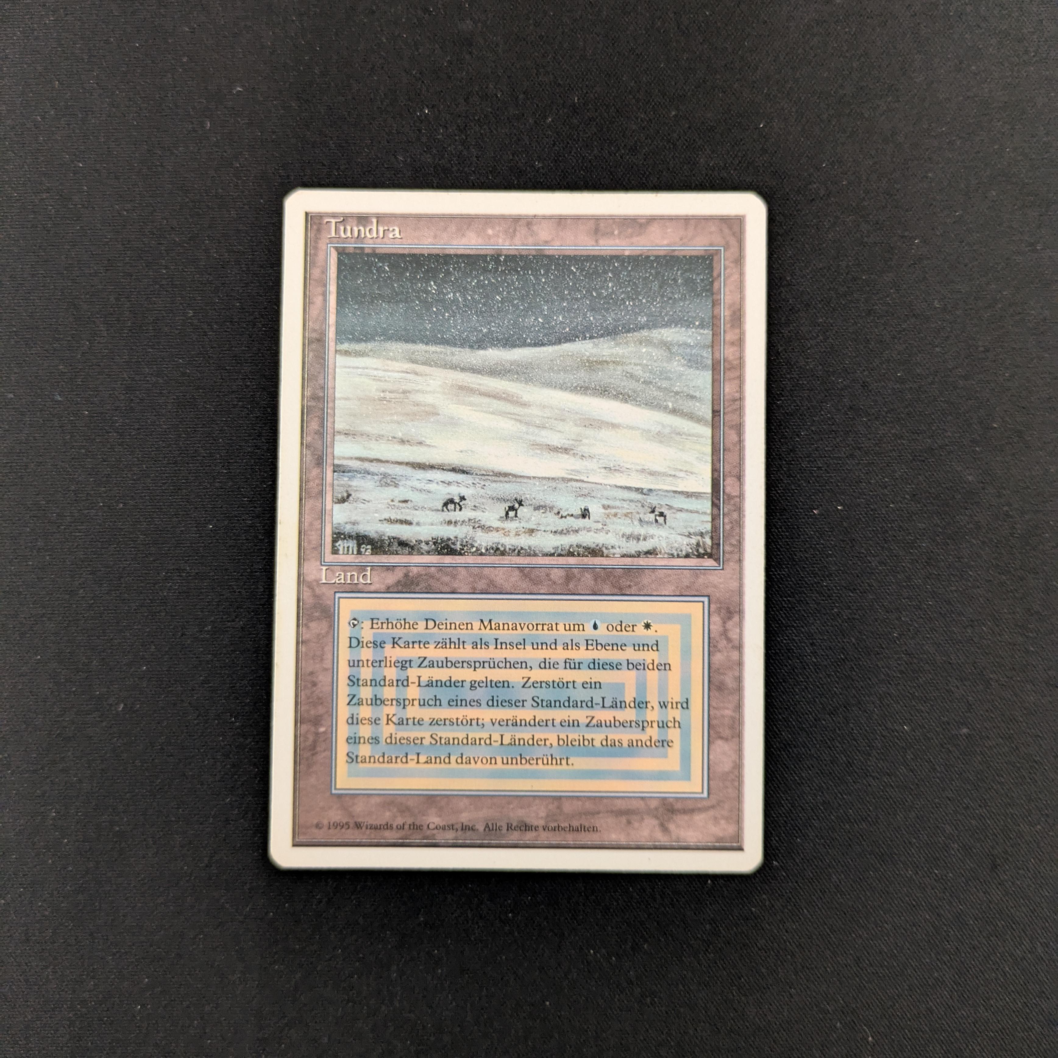 Tundra (Tundra) · Foreign Black Border (FBB) #289 · Scryfall