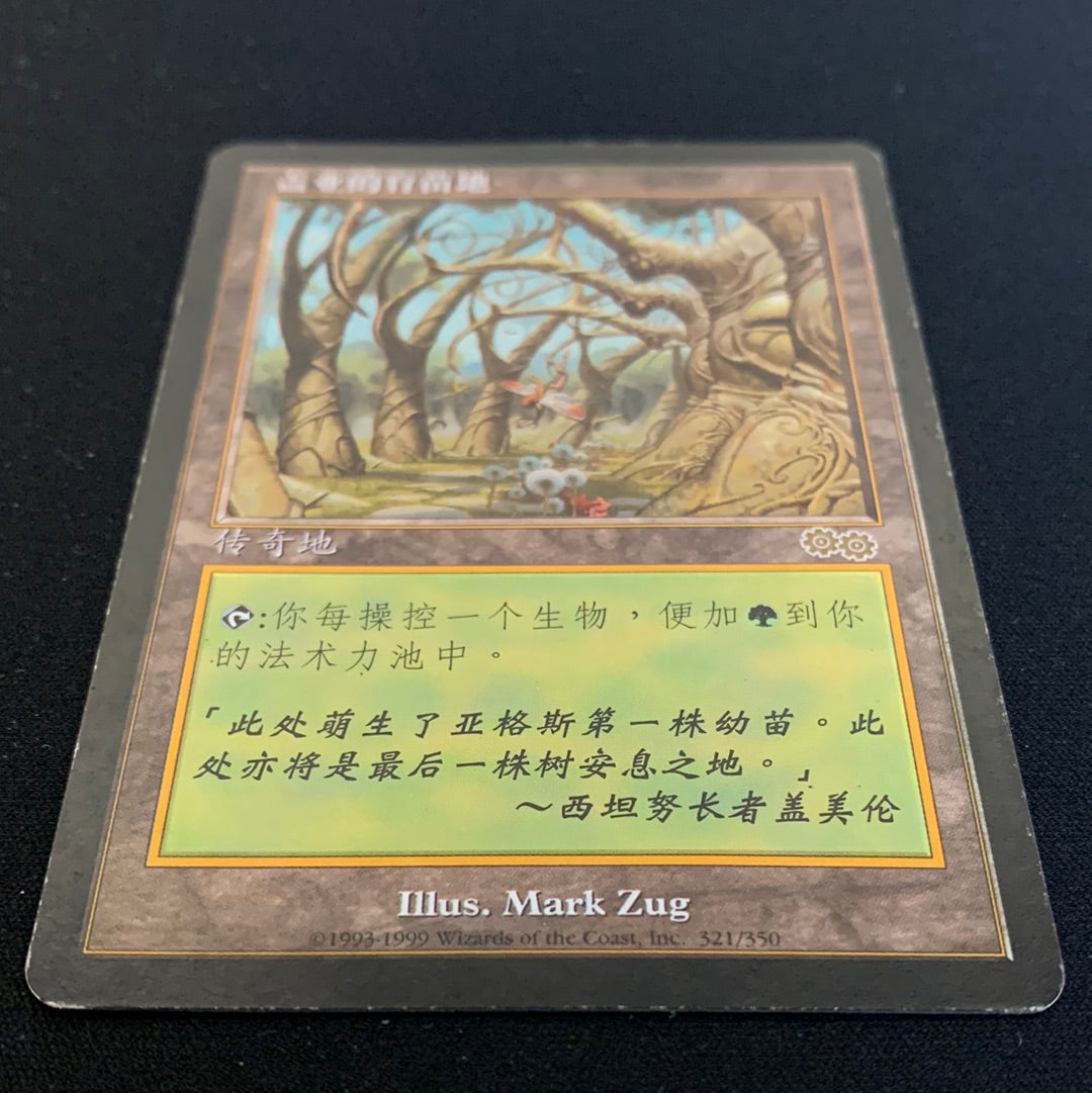 Gaea's Cradle - Urza's Saga - Simplified Chinese