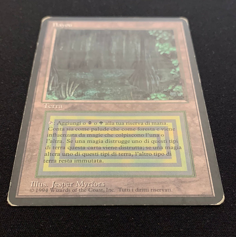 Bayou - Foreign Black Bordered - Italian