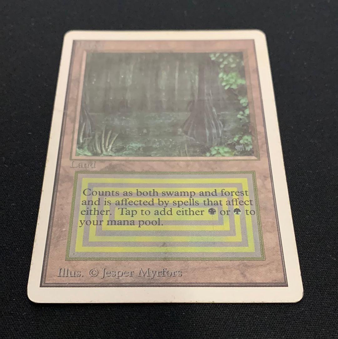 MTG Singles - Bayou - Unlimited - 