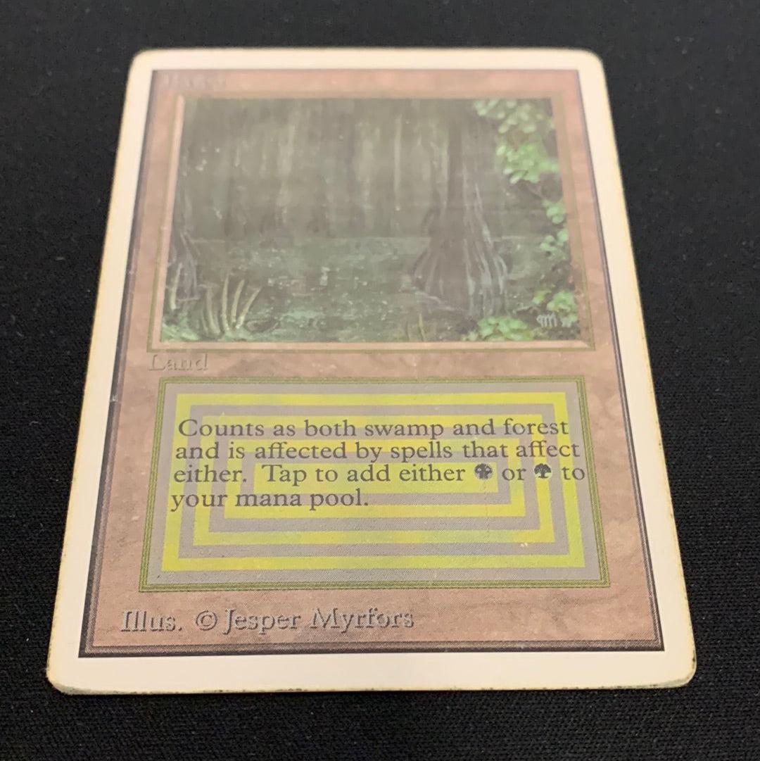 MTG Singles - Bayou - Unlimited - 