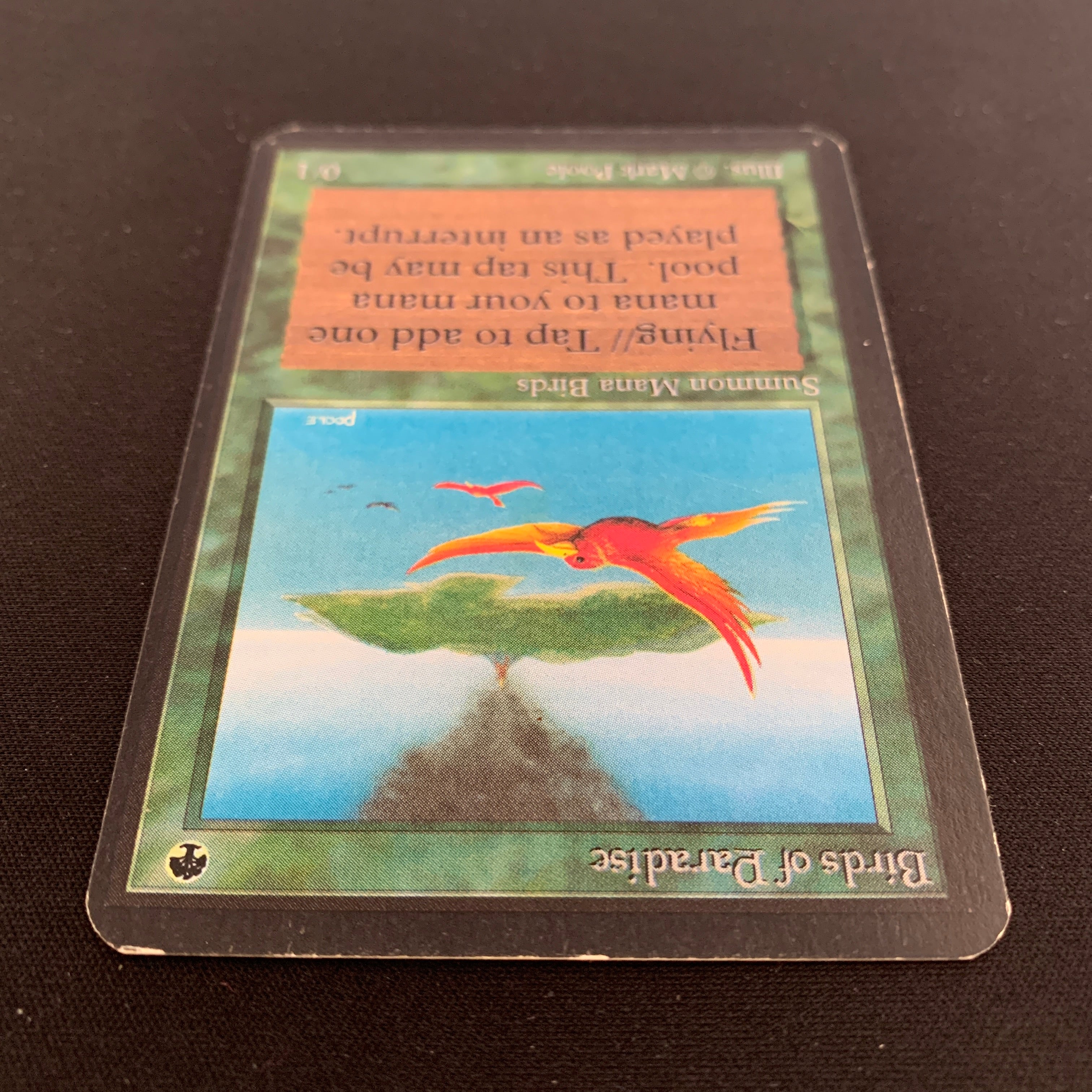 MTG Singles - Birds of Paradise - Alpha - 