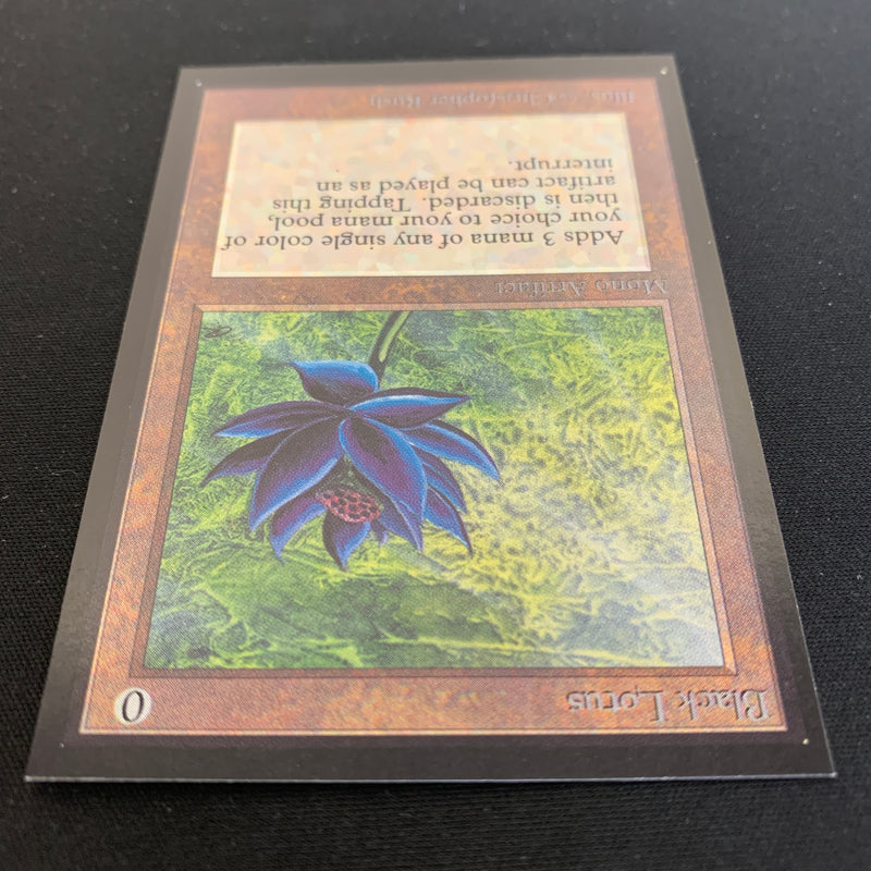 Black Lotus - International Edition