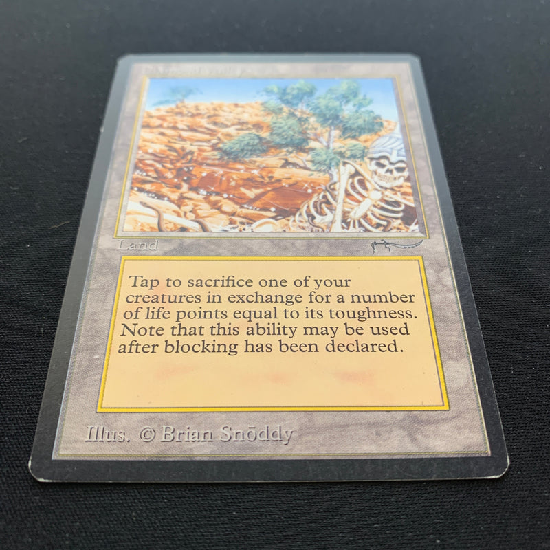 Magic the Gathering Diamond Valley - Arabian Nights 