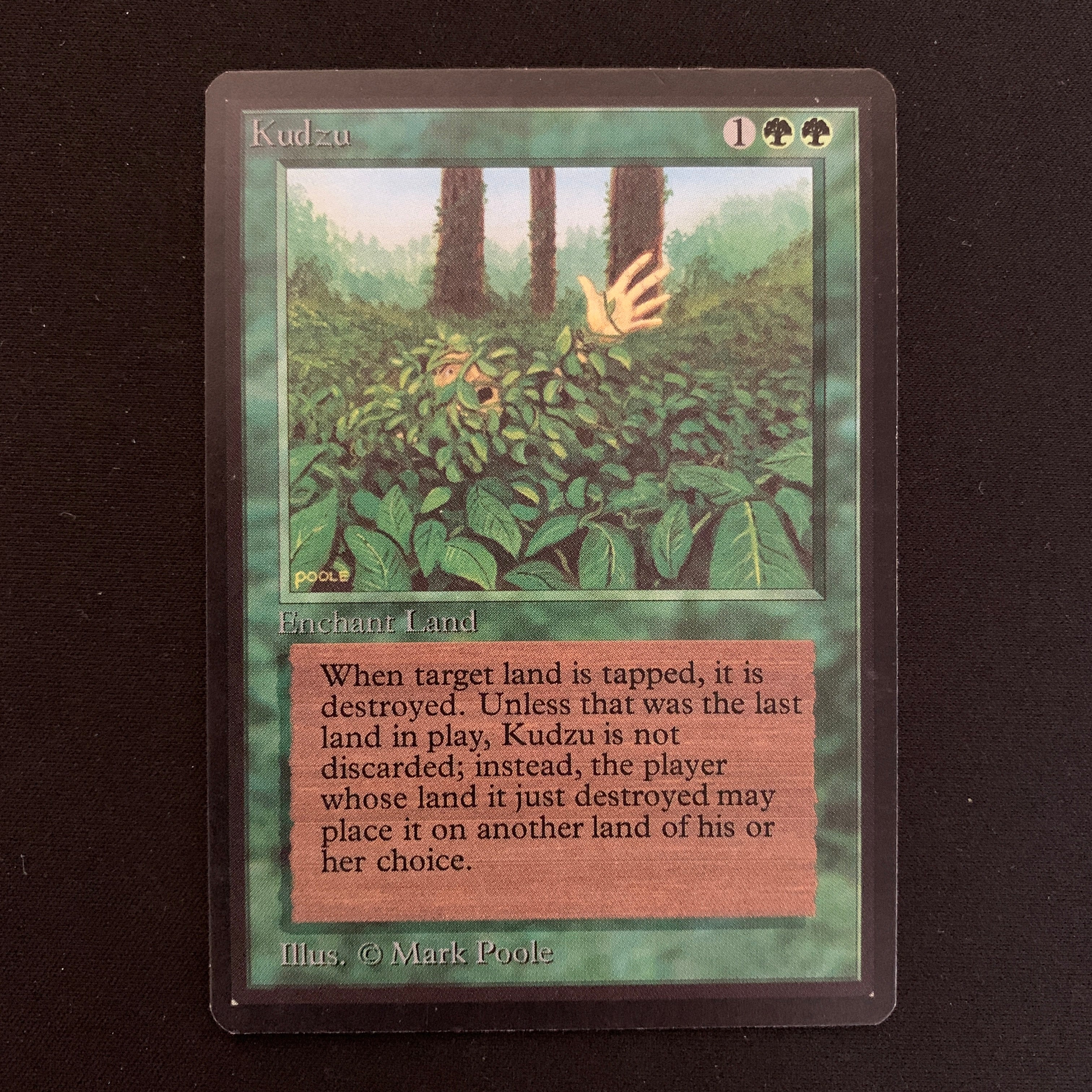MTG Singles - Kudzu - Beta - 