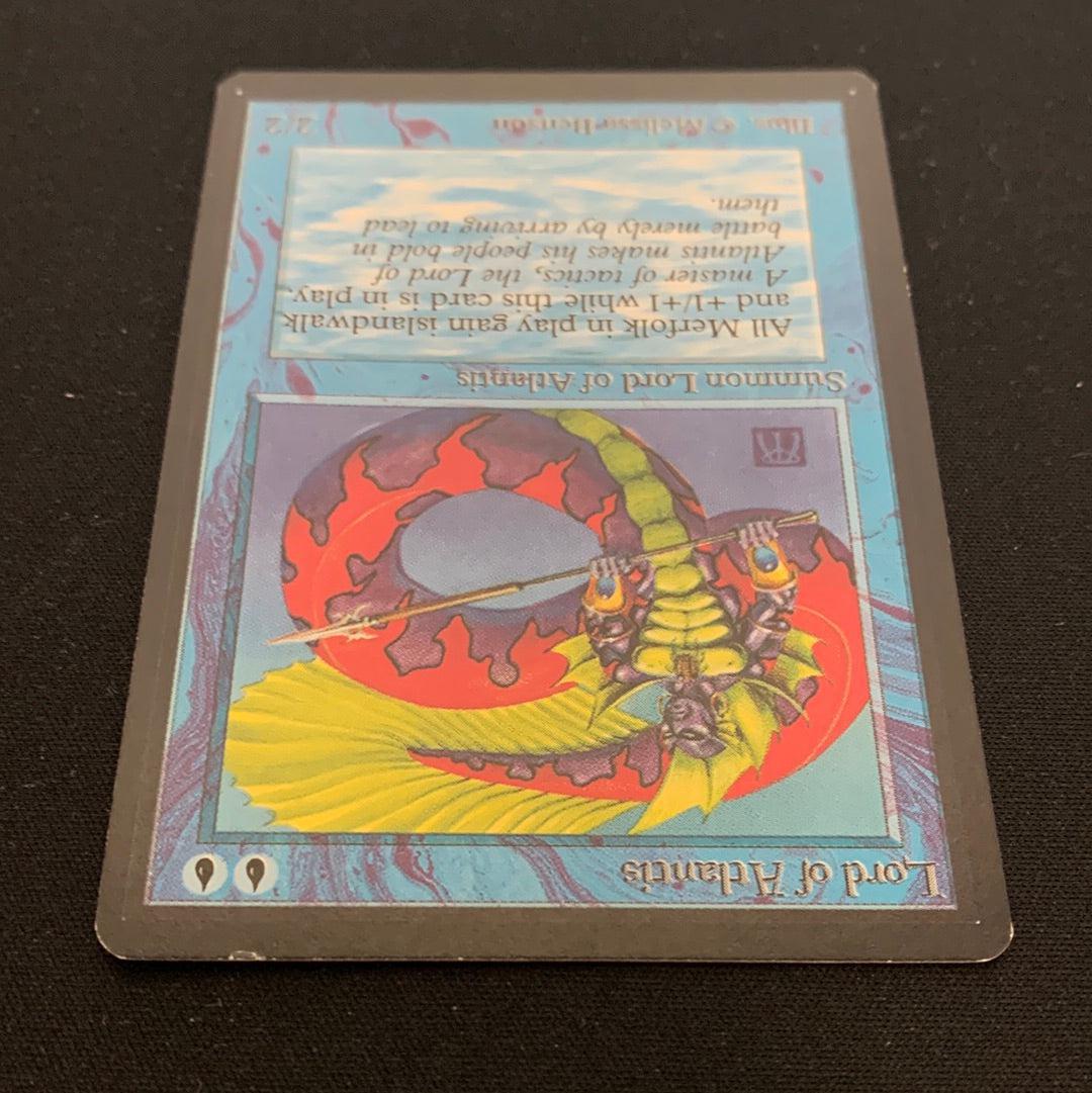 MTG Singles - Lord of Atlantis - Beta - 
