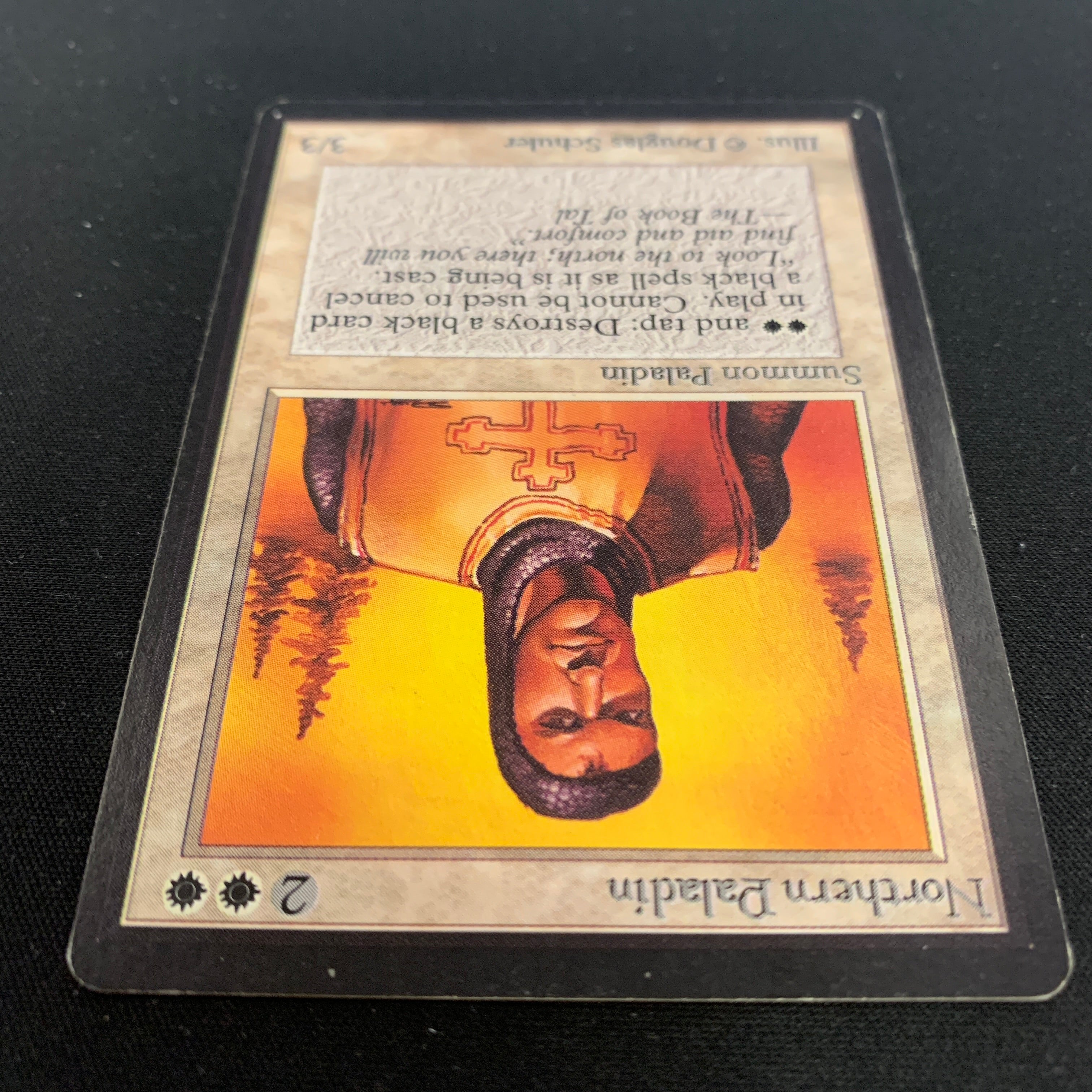 MTG Singles - Northern Paladin - Beta - 