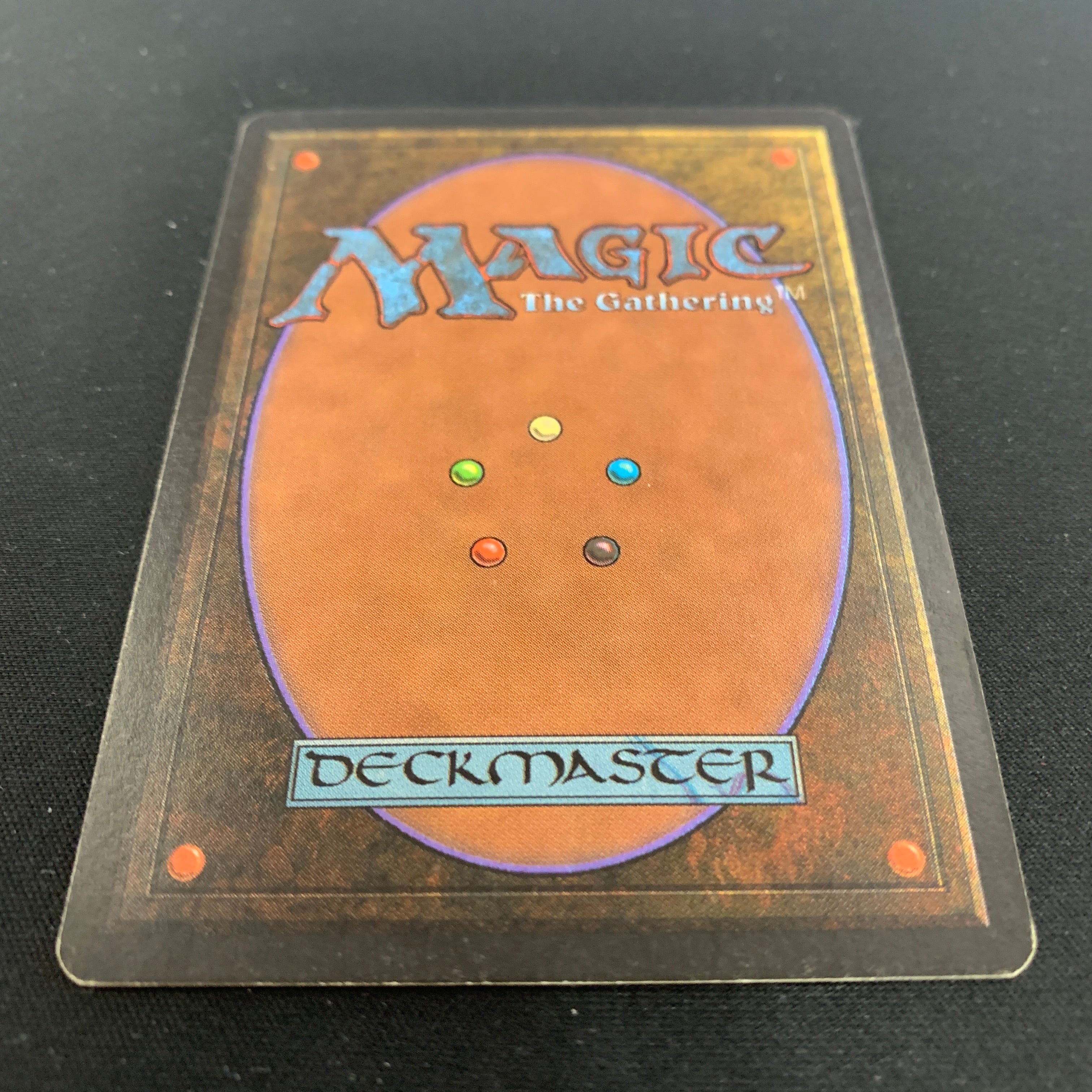 MTG Singles - Northern Paladin - Beta - 