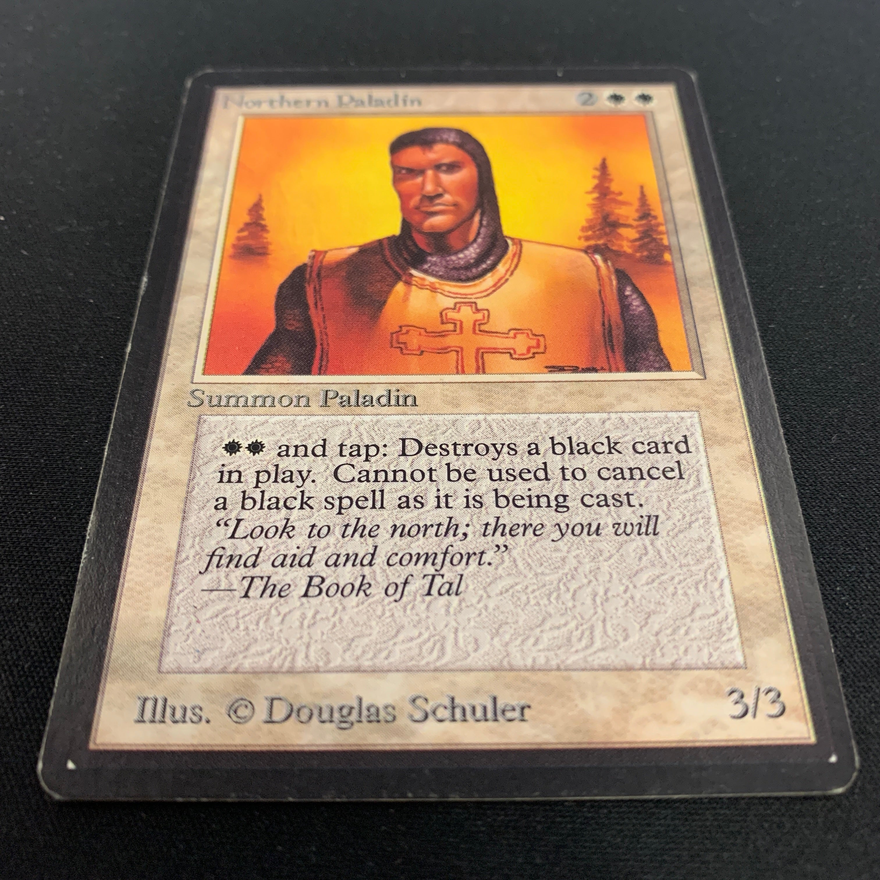 MTG Singles - Northern Paladin - Beta - 