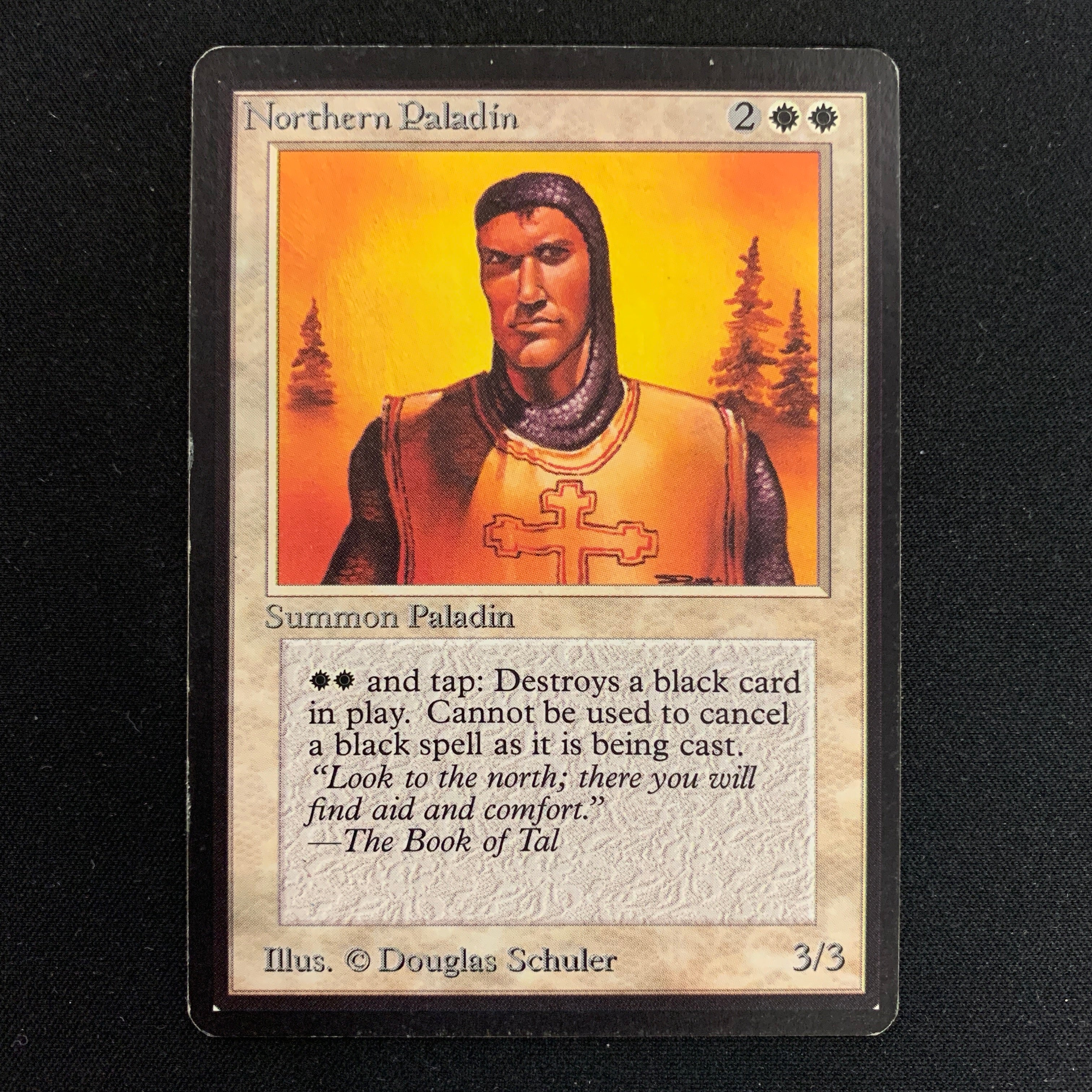 MTG Singles - Northern Paladin - Beta - 