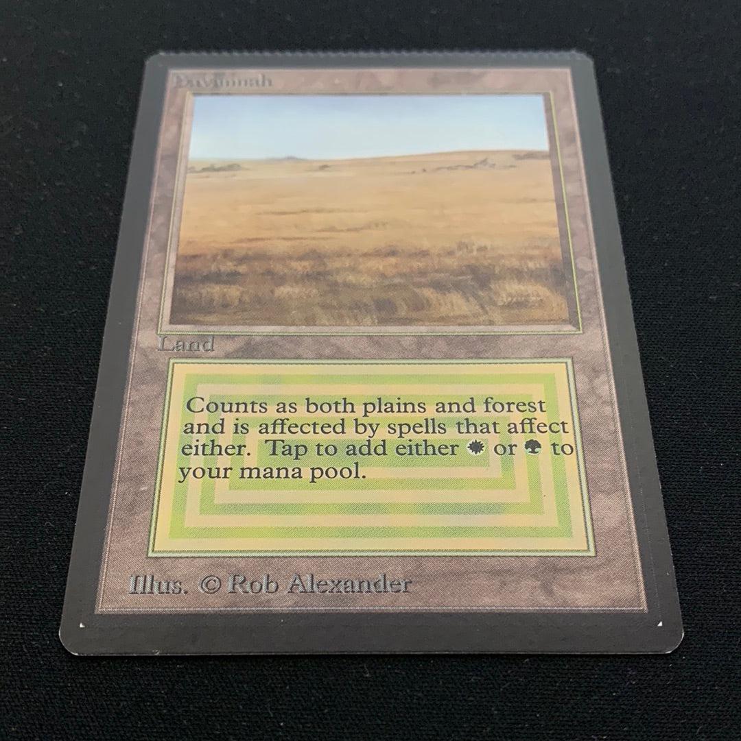 MTG Singles - Savannah - Beta - 
