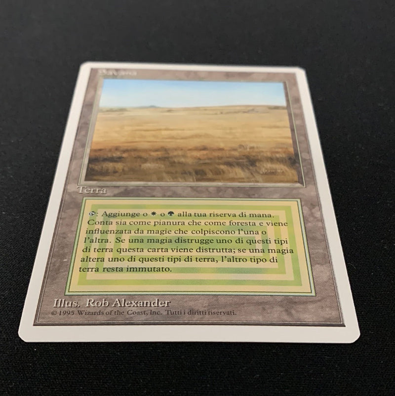 Magic the Gathering Savannah - Foreign White Bordered - Italian 