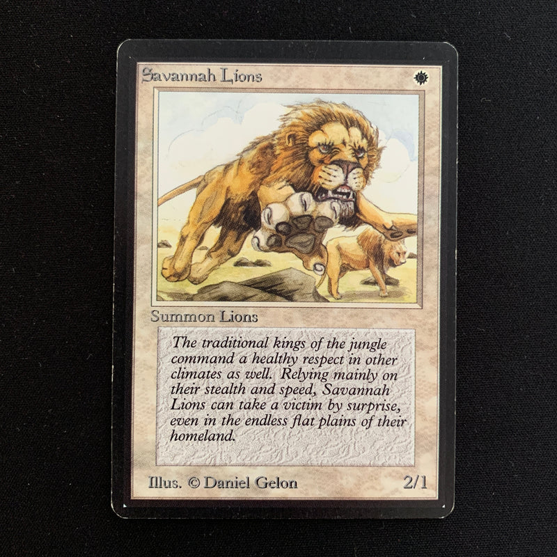 Magic the Gathering Savannah Lions - Beta 