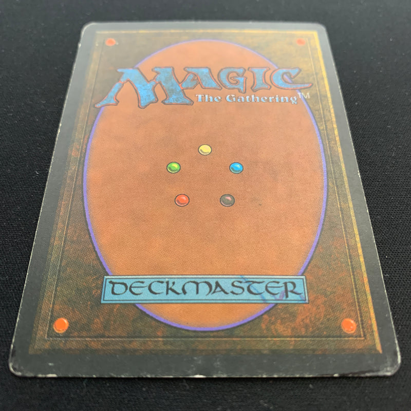 Magic the Gathering Scrubland - Foreign Black Bordered - German 