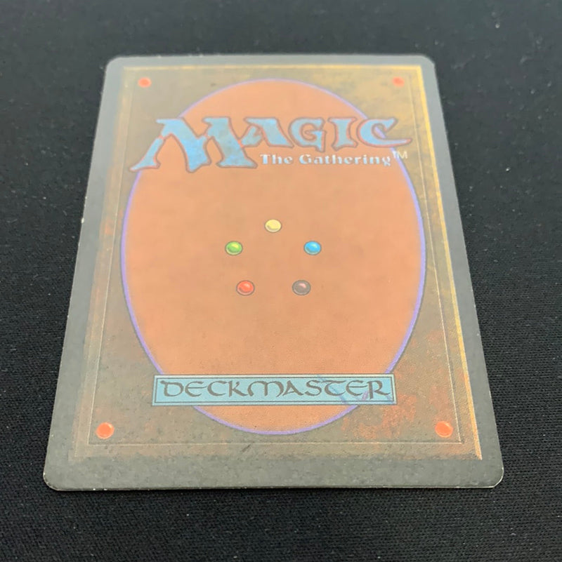 Magic the Gathering Taiga - Foreign Black Bordered - German 