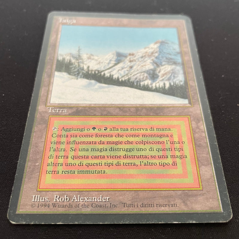 Magic the Gathering Taiga - Foreign Black Bordered - German 