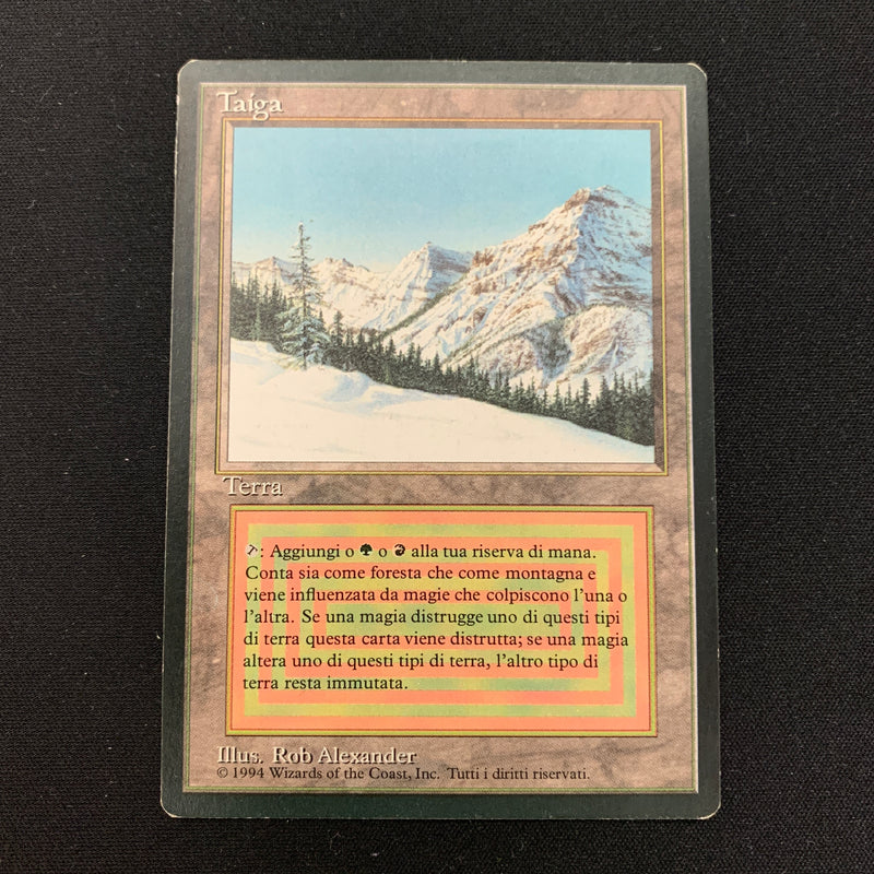 Magic the Gathering Taiga - Foreign Black Bordered - Italian 