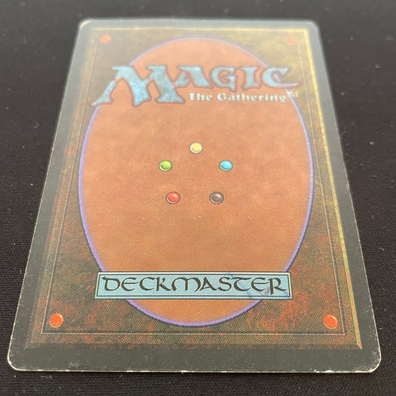 Magic the Gathering Taiga - Foreign Black Bordered - Italian 