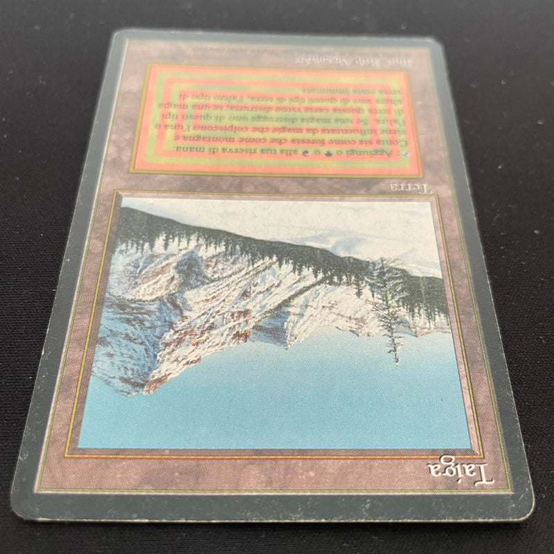 Magic the Gathering Taiga - Foreign Black Bordered - Italian 