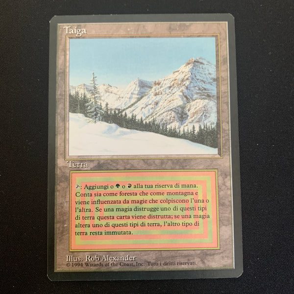 Taiga Foreign Black Bordered Italian Magic: The Gathering