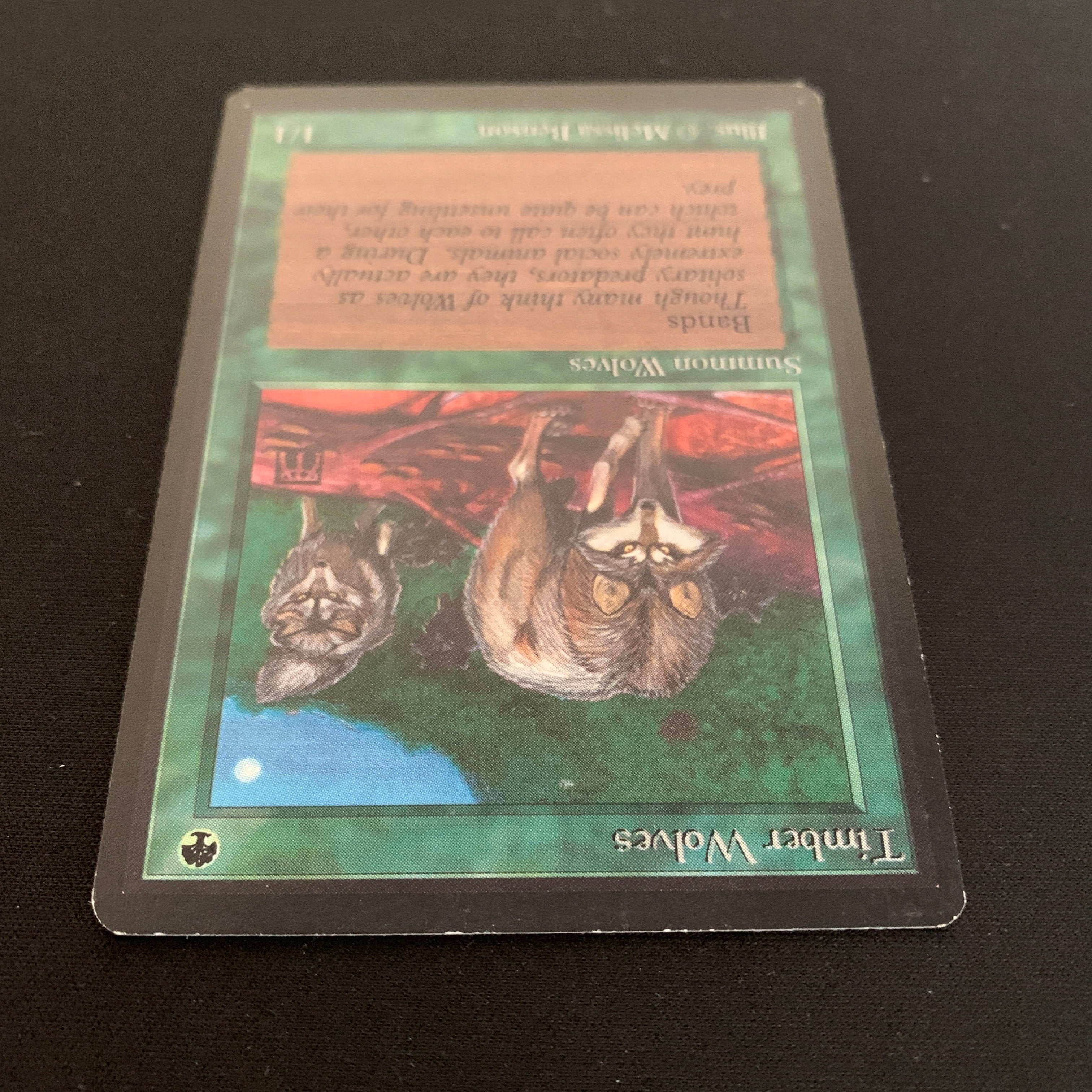 MTG Singles - Timber Wolves - Beta - 