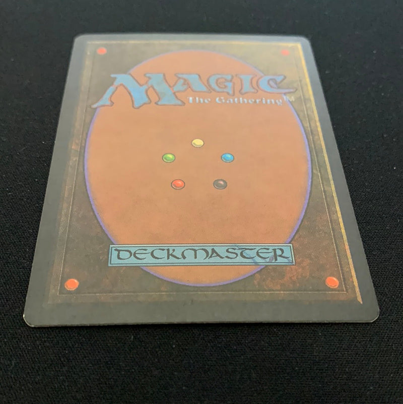 Magic the Gathering Tropical Island - Foreign Black Bordered - German 