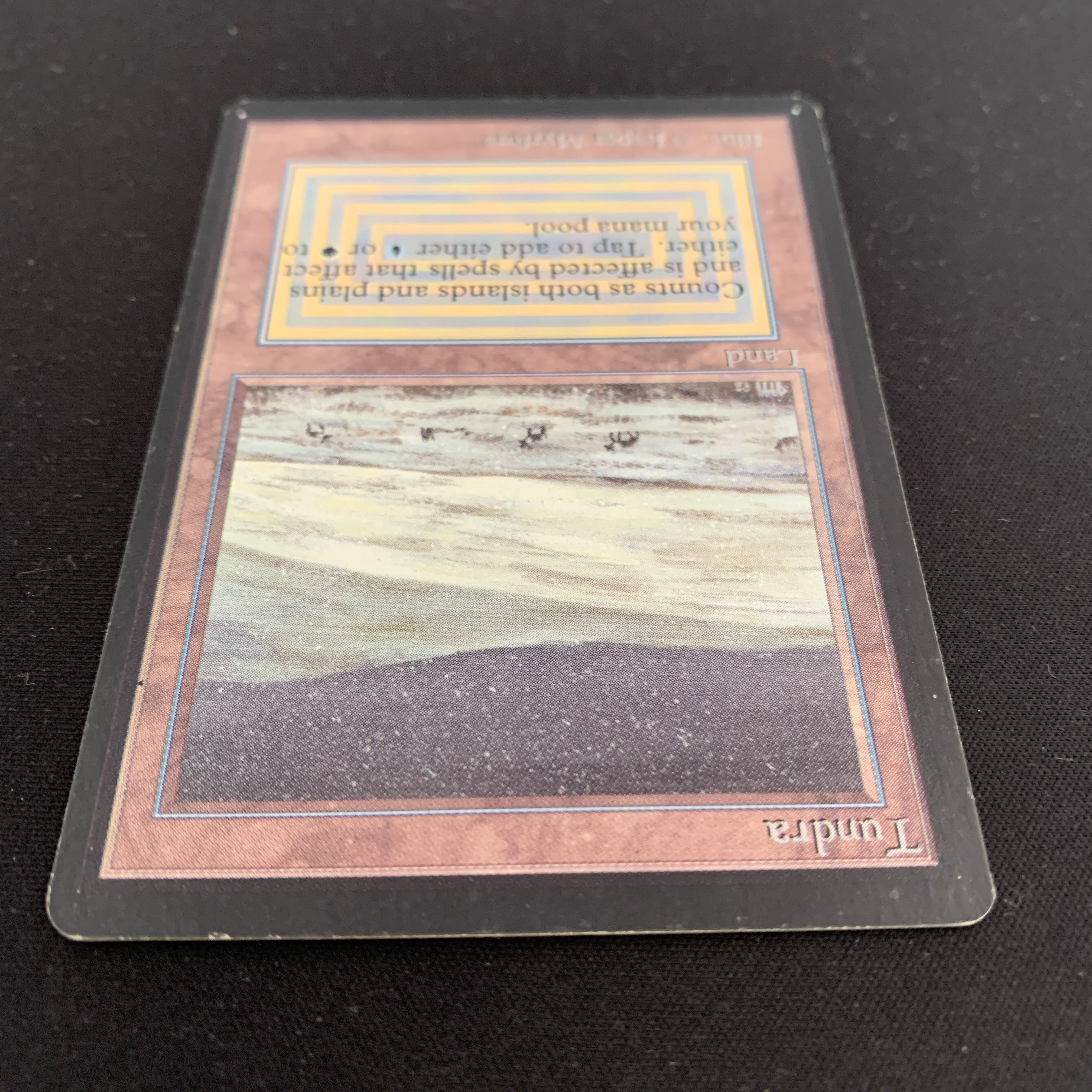 MTG Singles - Tundra - Beta - 