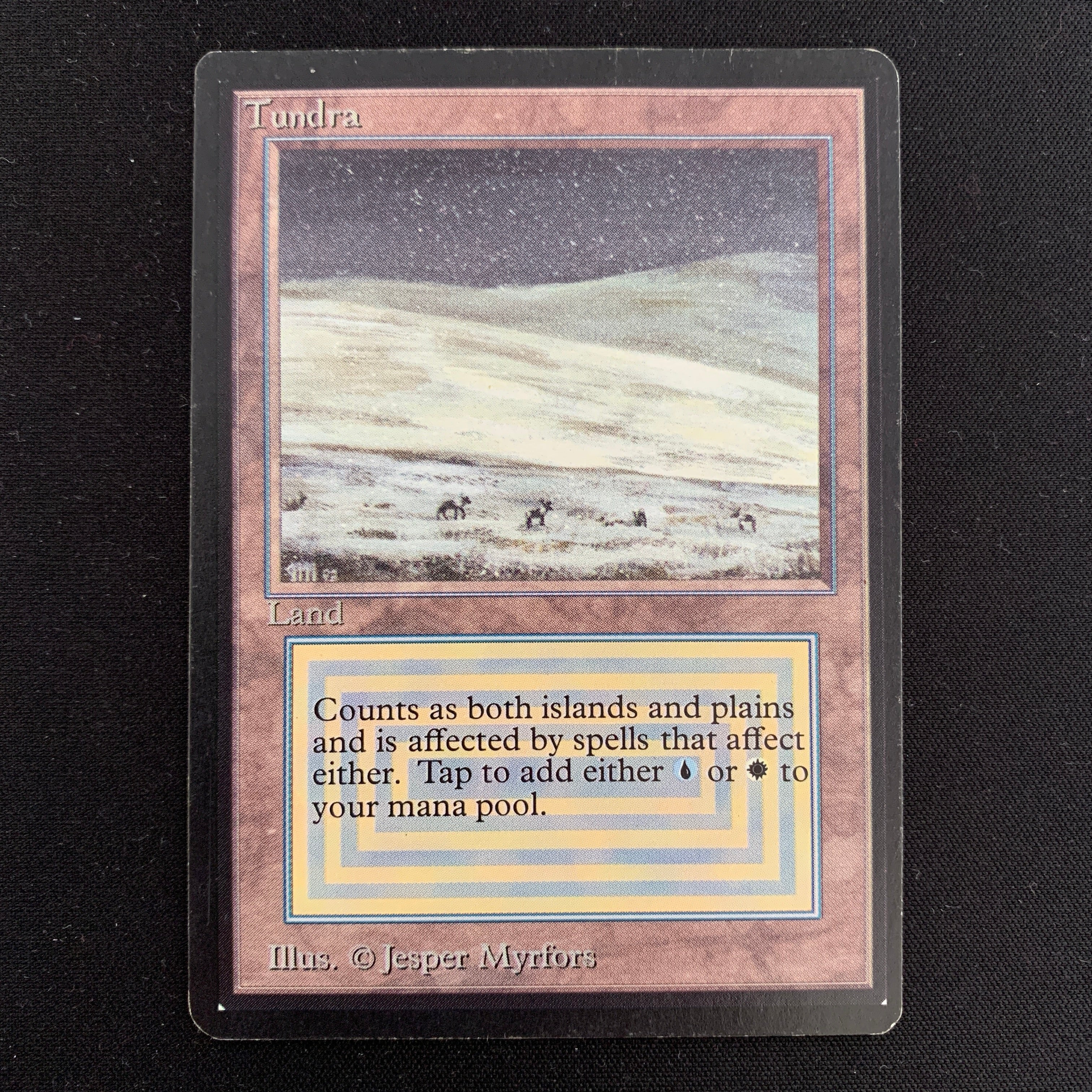 MTG Singles - Tundra - Beta - 