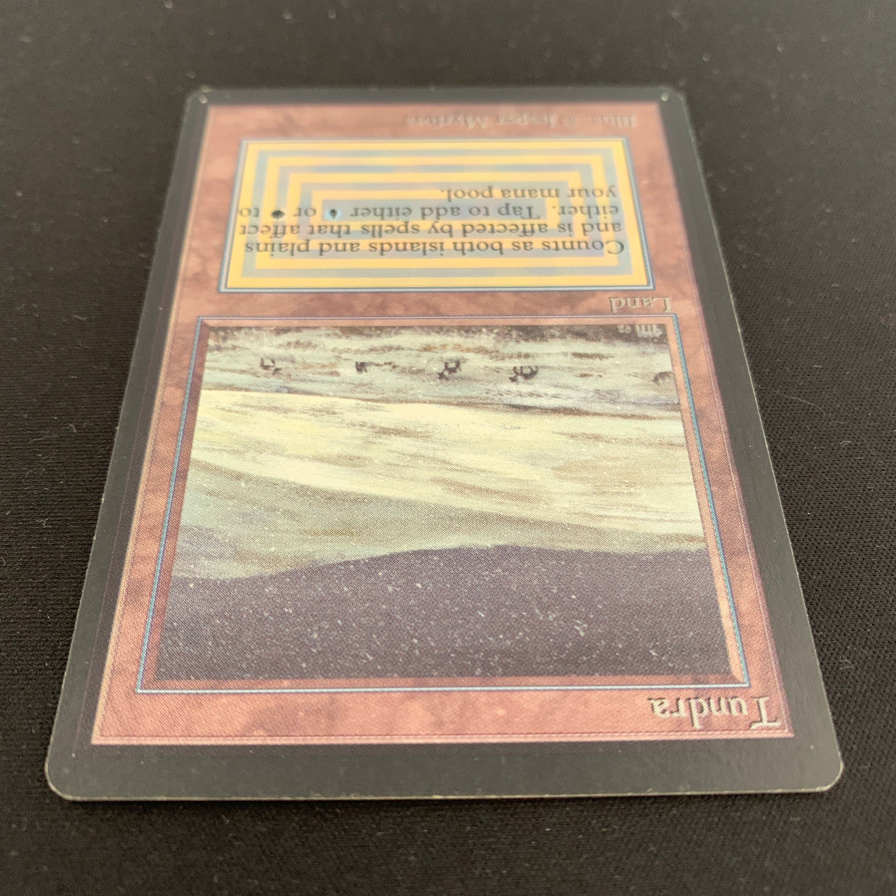 MTG Singles - Tundra - Beta - 