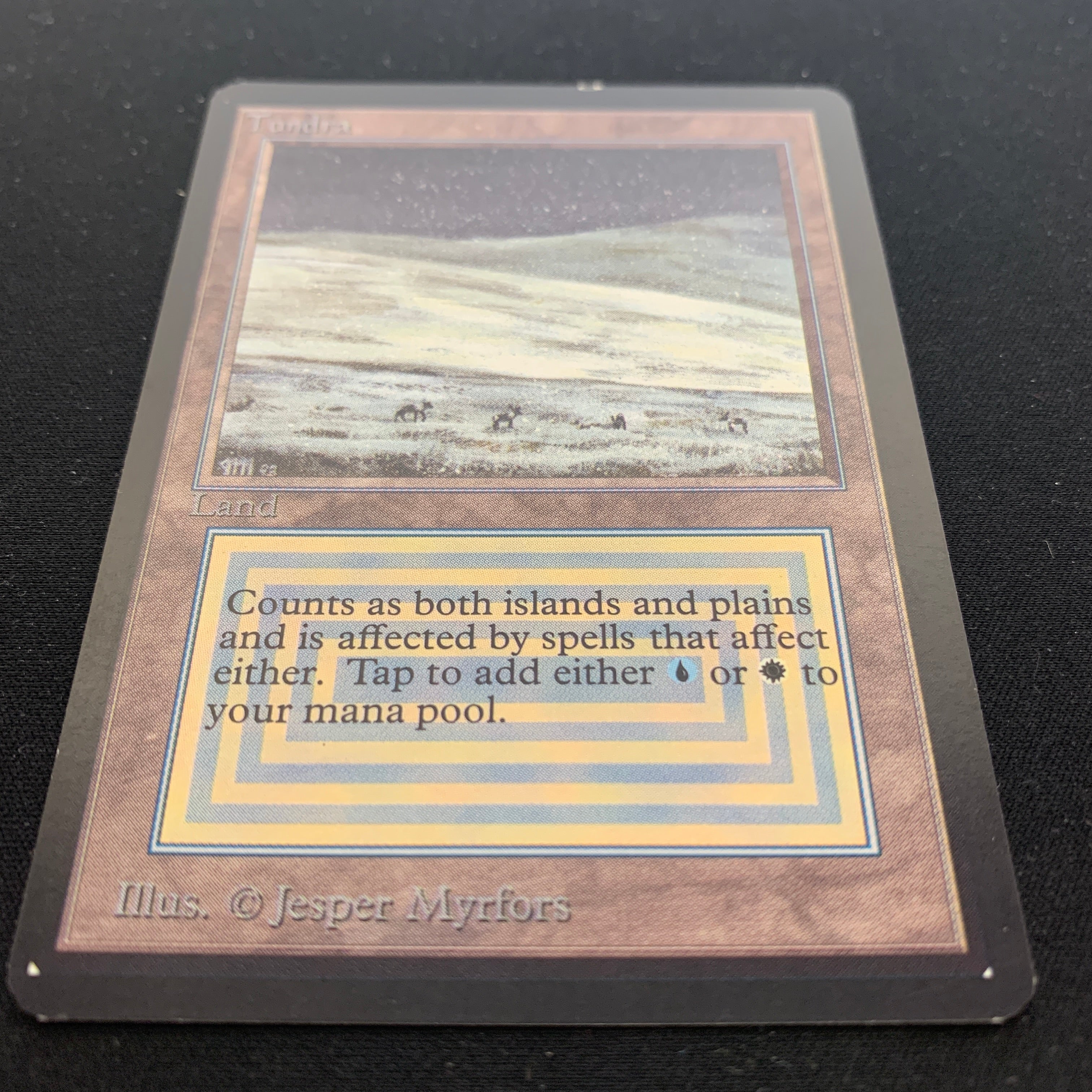 MTG Singles - Tundra - Collectors' Edition - 