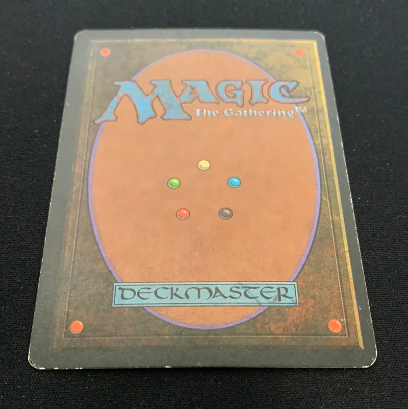 Magic the Gathering Tundra - Foreign Black Bordered - German 