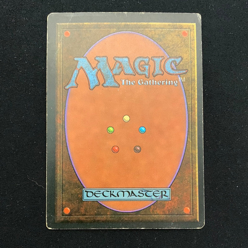 Magic the Gathering Tundra - Foreign Black Bordered - German 