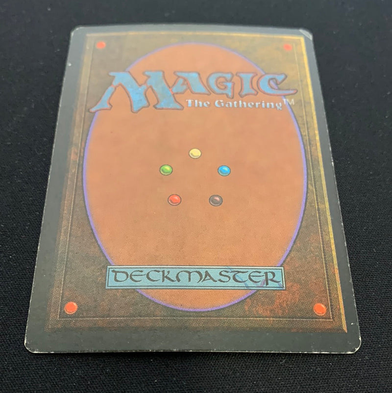 Magic the Gathering Tundra - Foreign Black Bordered - German 