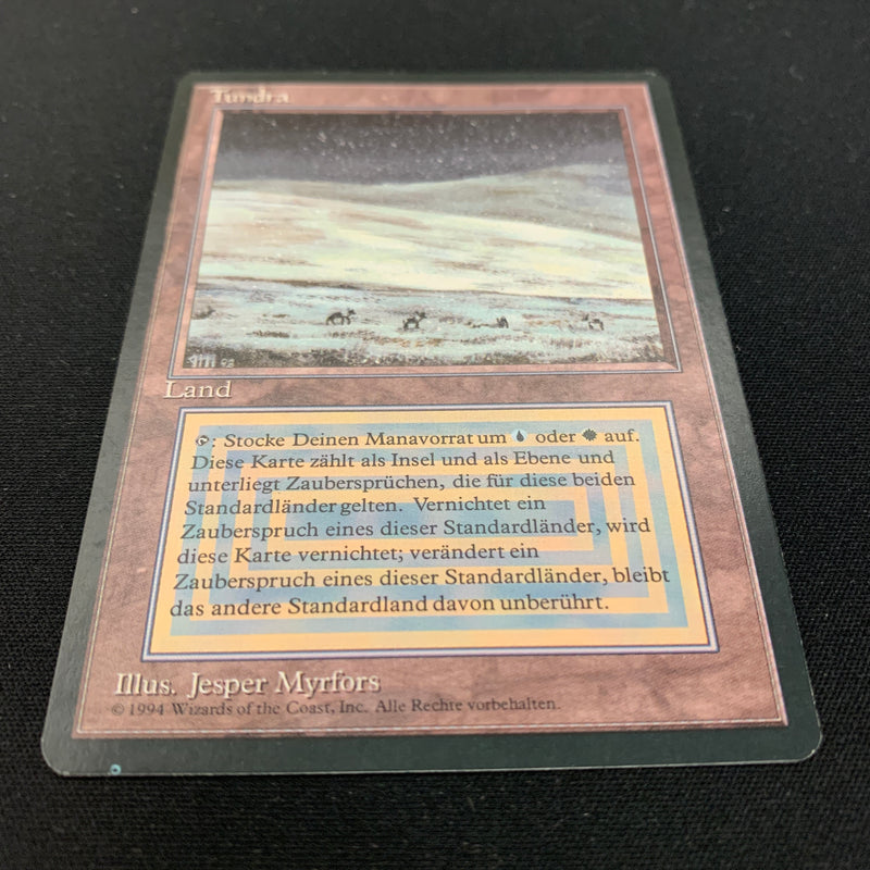 Magic the Gathering Tundra - Foreign Black Bordered - German 