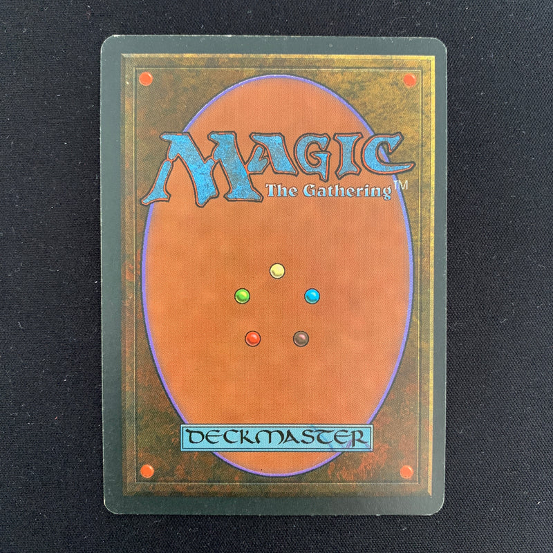 Magic the Gathering Tundra - Foreign Black Bordered - German 