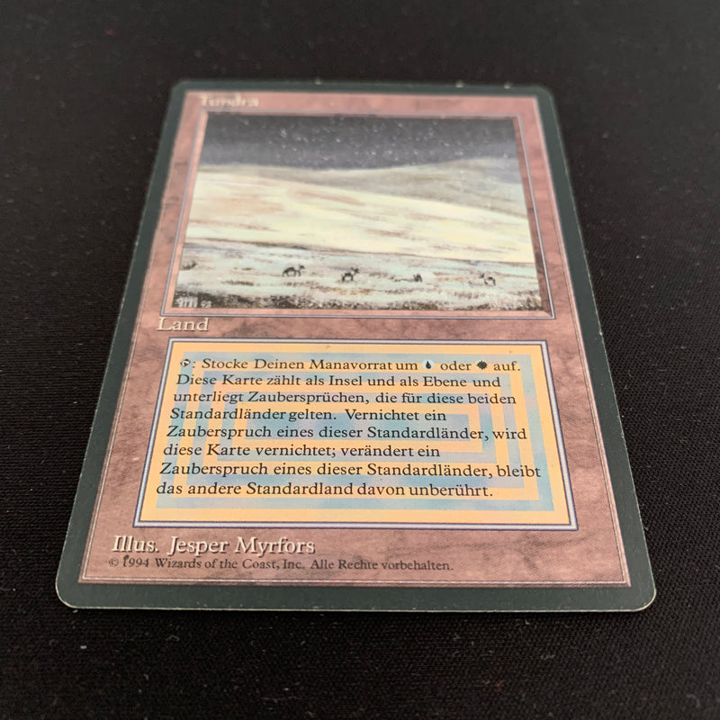 Magic the Gathering Tundra - Foreign Black Bordered - German 