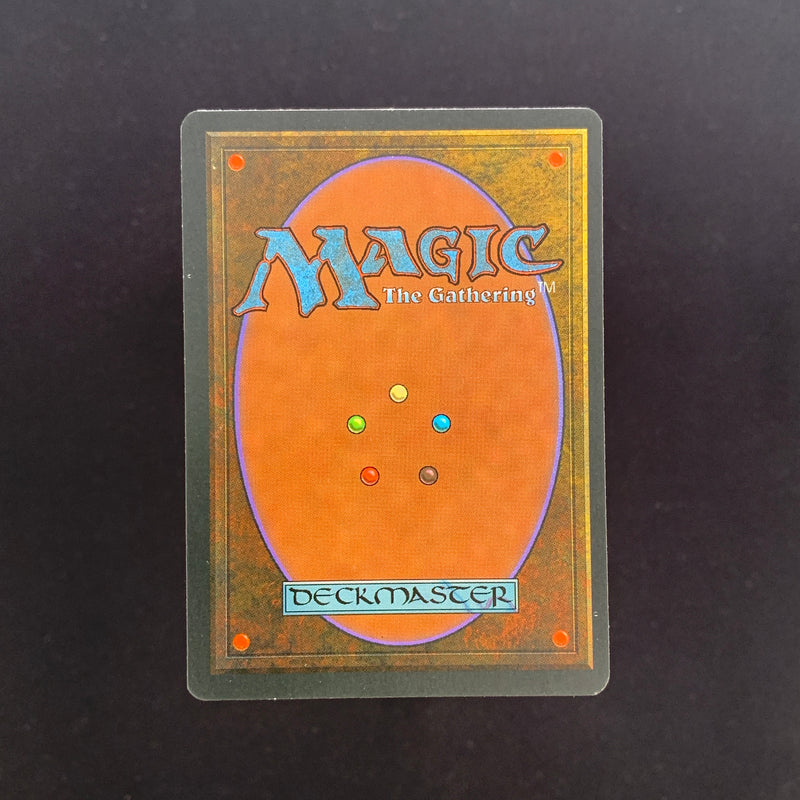 Magic the Gathering Tundra - Foreign Black Bordered - German 