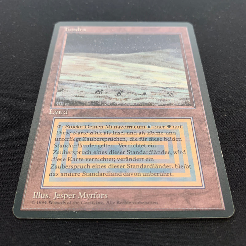 Magic the Gathering Tundra - Foreign Black Bordered - German 