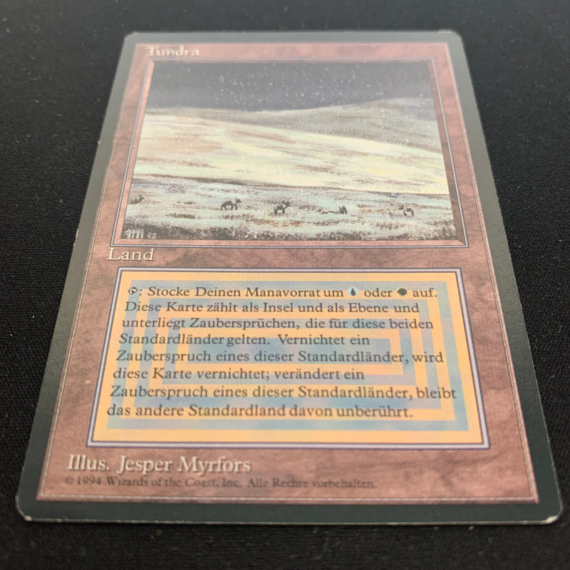 Magic the Gathering Tundra - Foreign Black Bordered - German 