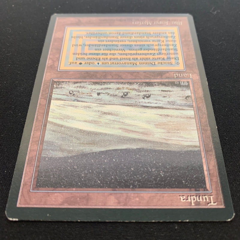 Magic the Gathering Tundra - Foreign Black Bordered - German 