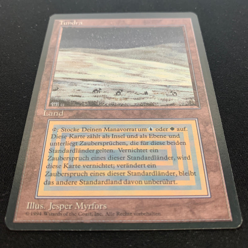 Magic the Gathering Tundra - Foreign Black Bordered - German 