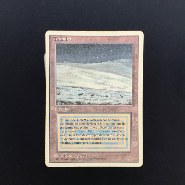 Tundra Foreign White Bordered French Magic: The Gathering