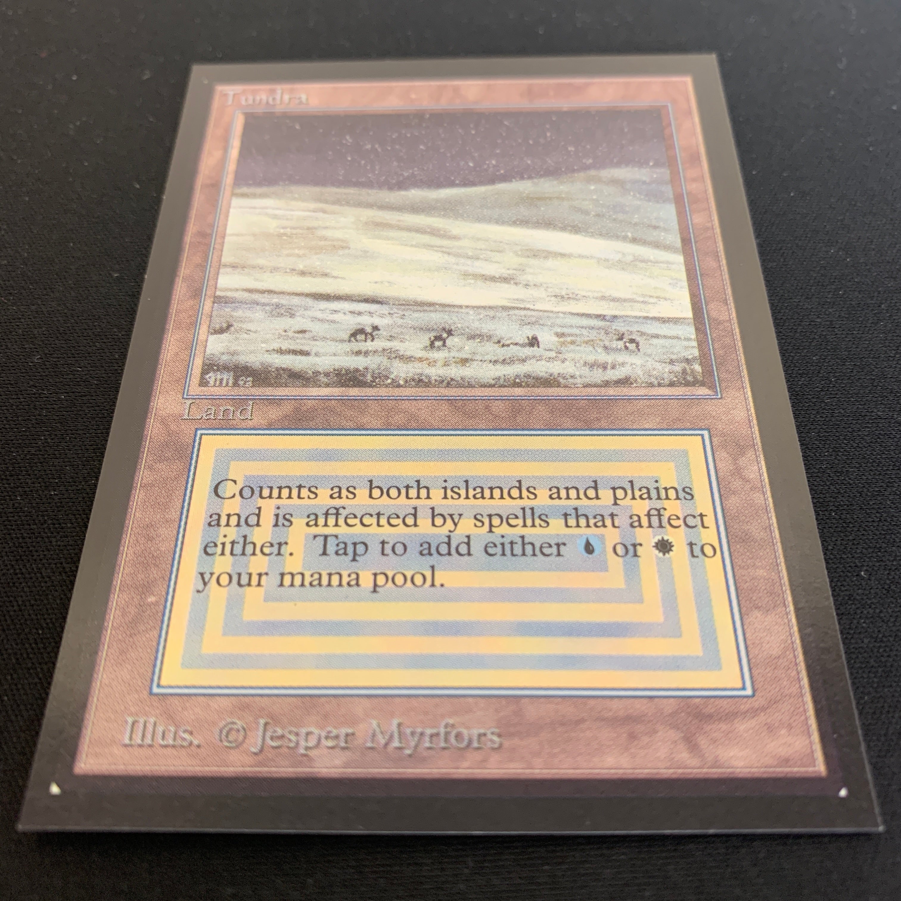 MTG Singles - Tundra - International Edition - 