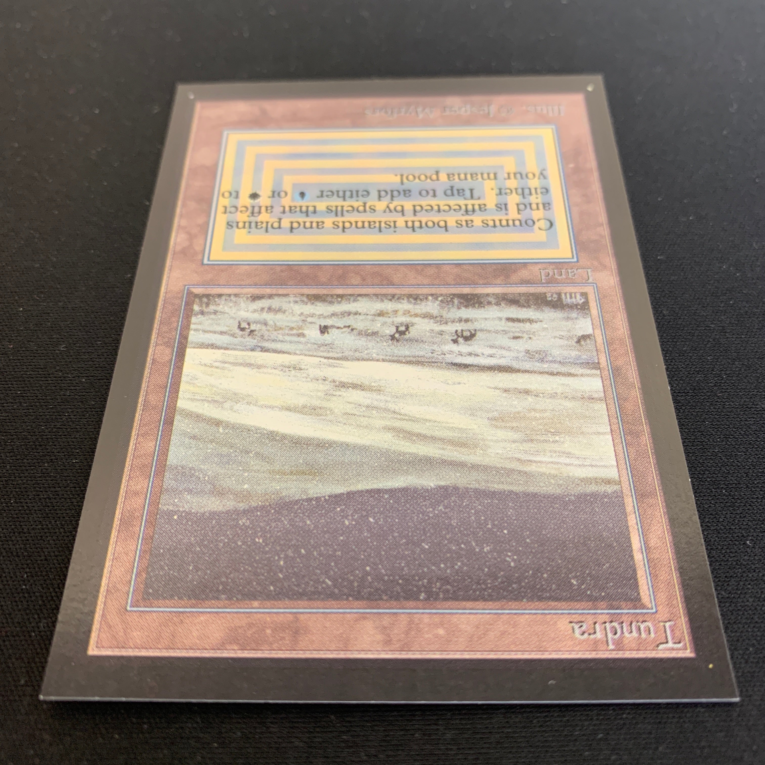 MTG Singles - Tundra - International Edition - 