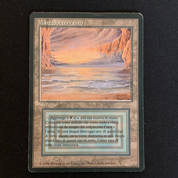 Underground Sea Foreign Black Bordered Italian Magic: The Gathering