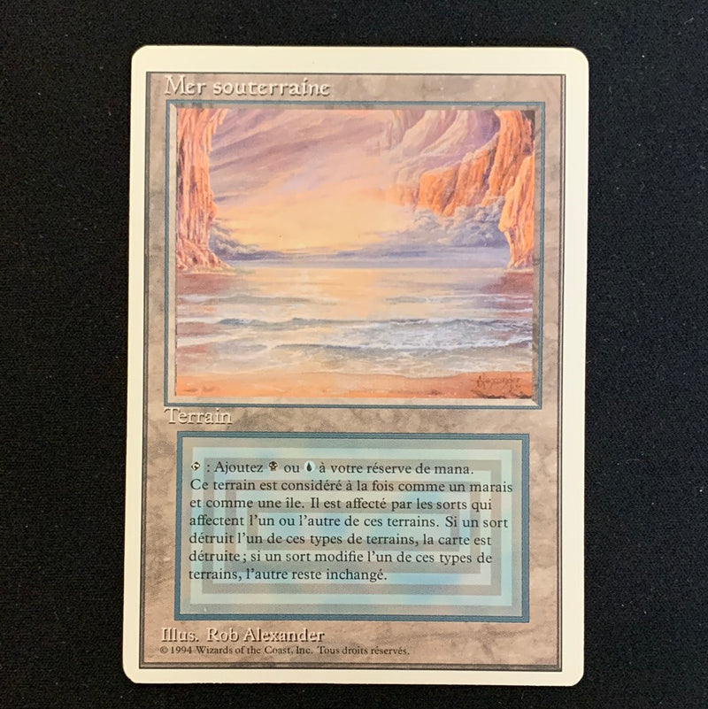 Underground Sea Foreign White Bordered French Magic: The Gathering