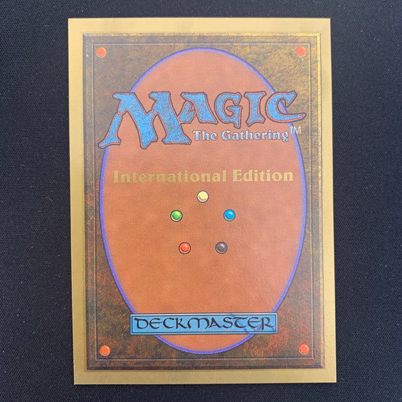 Magic the Gathering Wheel of Fortune - International Edition 